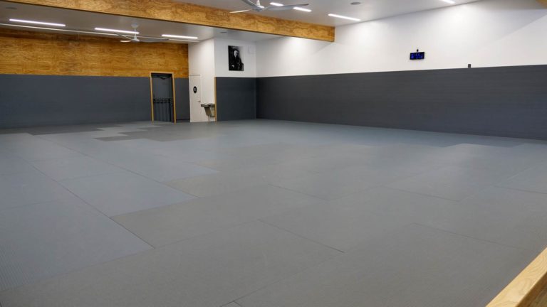 The-Arena-Facility-Training-Mat-San-Diego-03